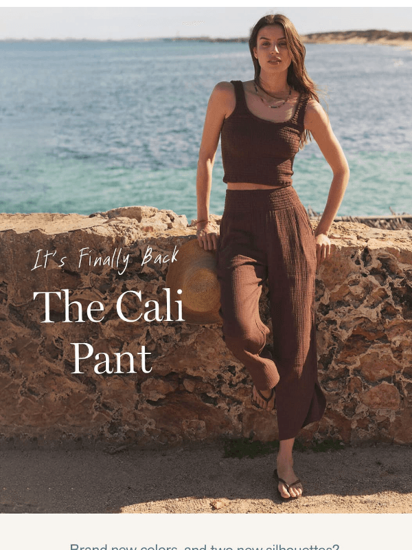 Newsletter preview: The Perfect Pant *Does* Exist