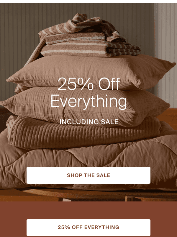 Newsletter preview: Everything Is 25% Off