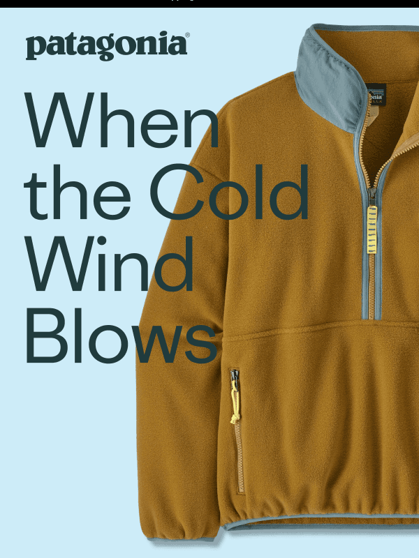 Newsletter preview: New arrivals for winter