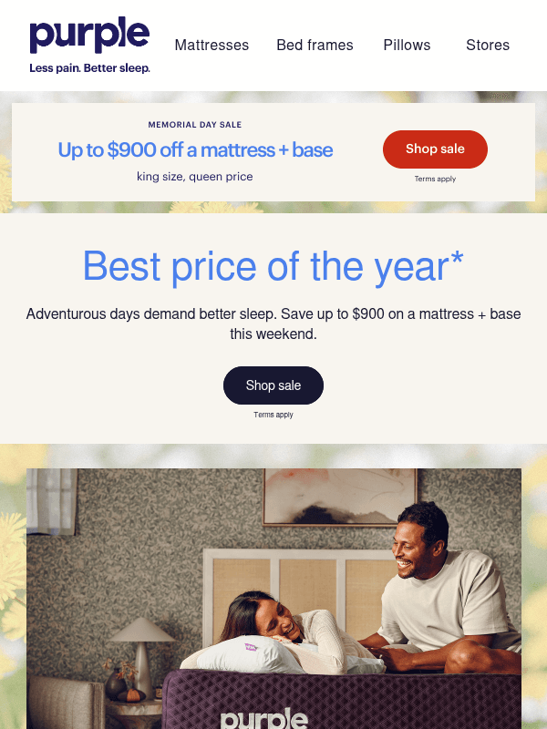 Newsletter preview: Don't miss it: Our best prices of the year!