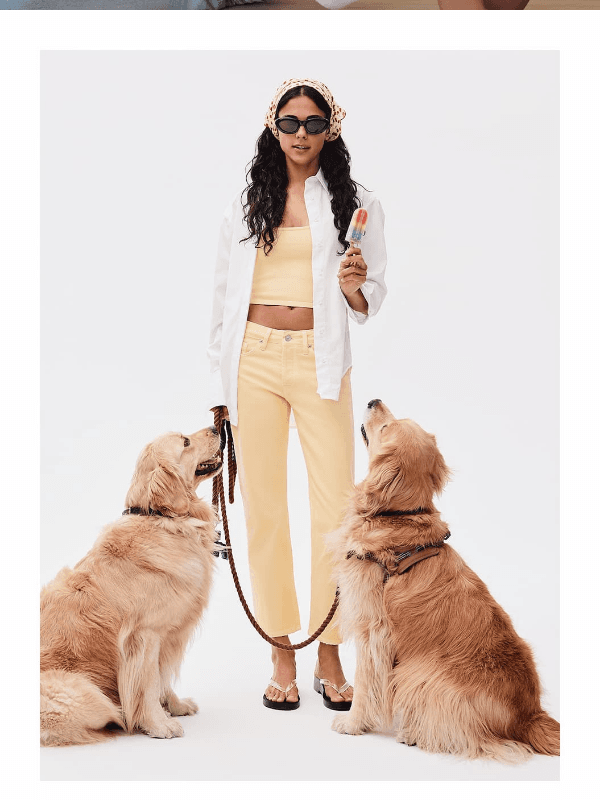 Newsletter preview: Yellow looks good on you