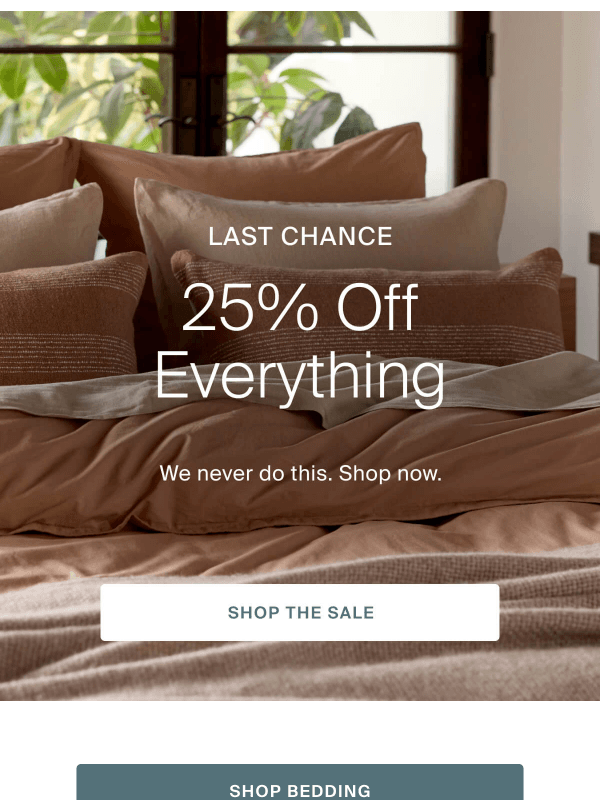 Newsletter preview: 25% off everything—ending soon