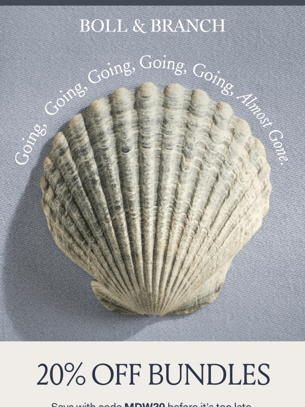 Newsletter preview: Going…going…20% off + free gift