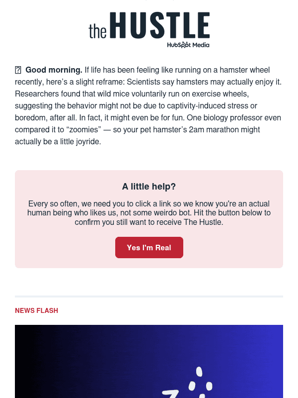 Newsletter preview: 🧑‍💻  LinkedIn, but with GitHub