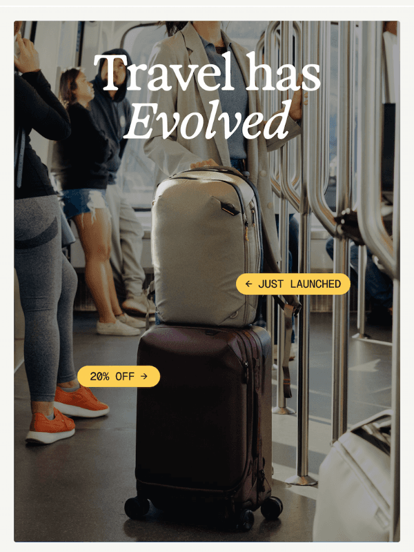 Newsletter preview: Bags for Grownups