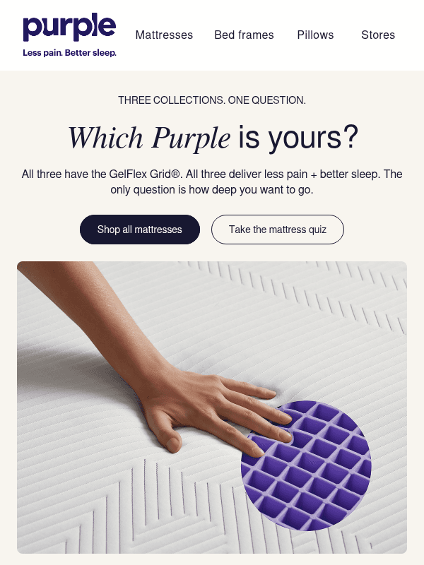 Newsletter preview: Three Purples. Which one’s yours?