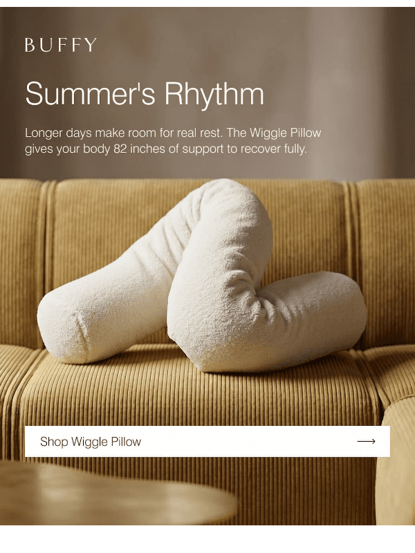 Newsletter preview: Most pillows support your head. This one supports everything.