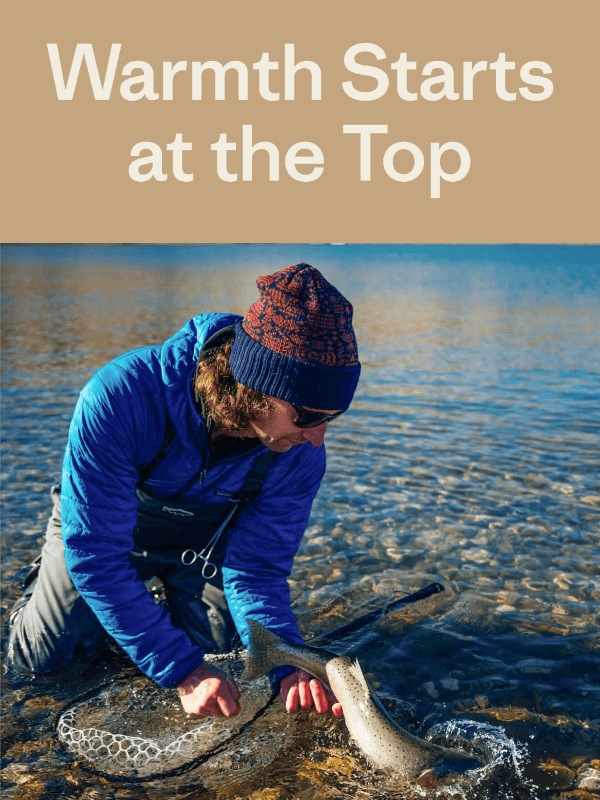 Newsletter preview: Stay ahead of the cold