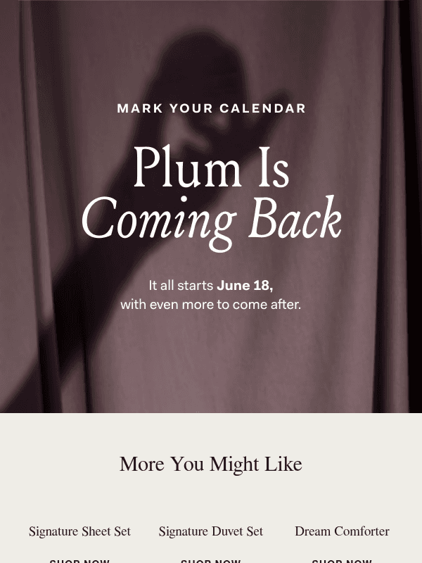 Newsletter preview: Mark your calendar: Plum is coming back 💜