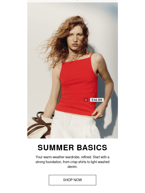 Newsletter preview: In focus: Summer basics