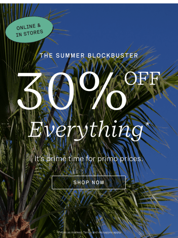 Newsletter preview: Launched: 30% Off Everything