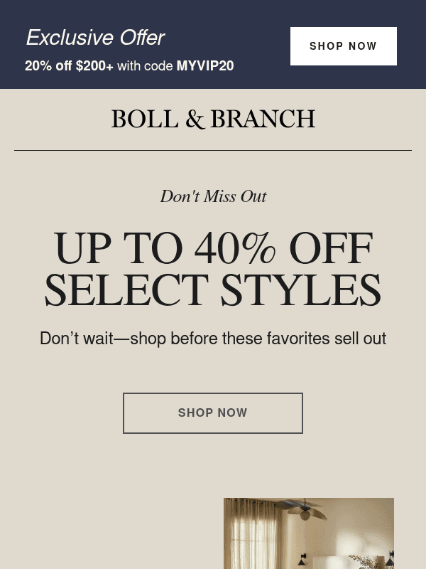 Newsletter preview: Everyone’s shopping this sale