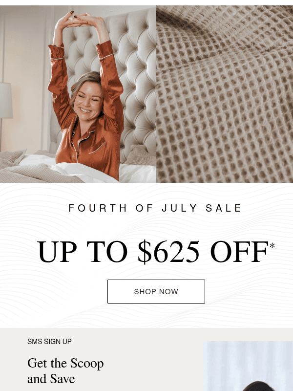 Newsletter preview: Still Searching for the Perfect Mattress?