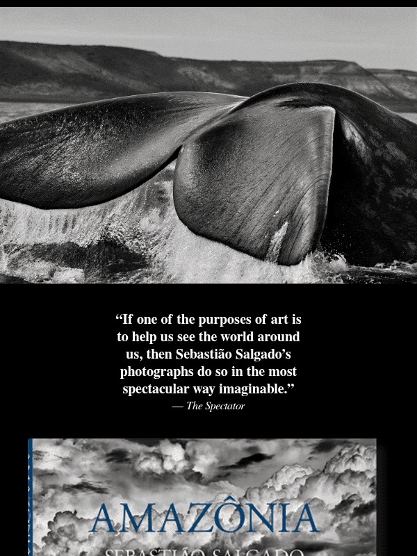 Newsletter preview: Visionaries in Photography #3