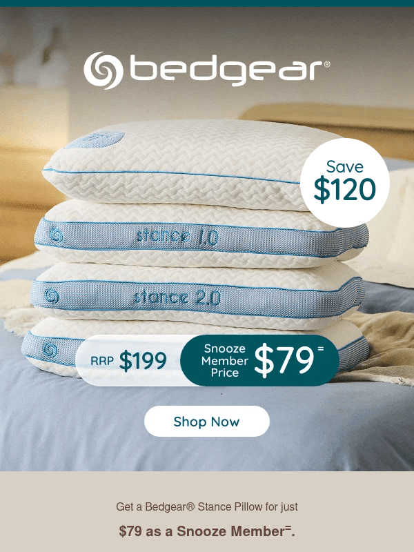 Newsletter preview: Chloe, a Bedgear Stance Pillow for just $79 - Save $120!