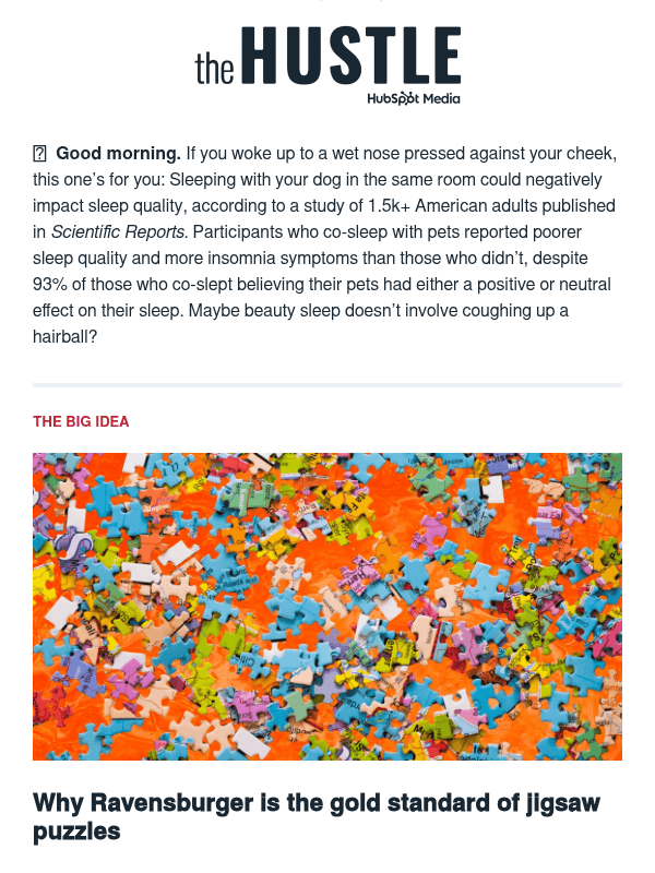 Newsletter preview: 🧩  The jigsaw puzzle king