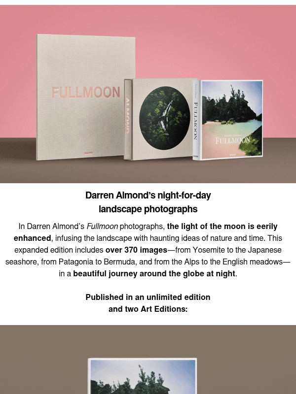 Newsletter preview: In the Light of the Moon