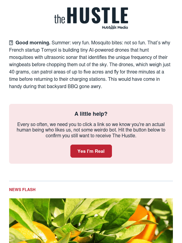 Newsletter preview: 👃  Stop and smell the community