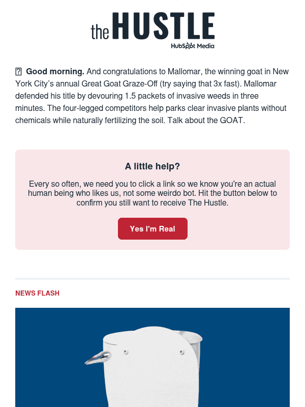 Newsletter preview: 👜  Gen Z’s panic pouches