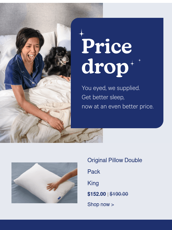 Newsletter preview: Get Original Pillow Double Pack now at a lower price 👀