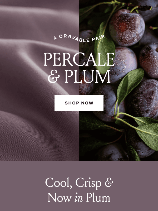 Newsletter preview: Plum x Percale is finally here