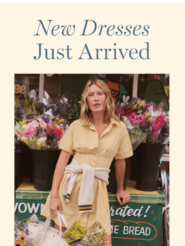 Newsletter preview: Stop Scrolling. New Dresses.