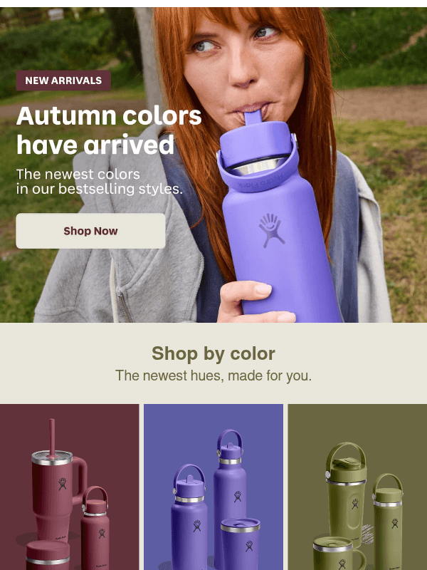 Newsletter preview: A new color for every day
