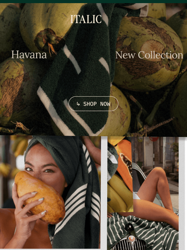 Newsletter preview: Meet the NEW Havana Collection