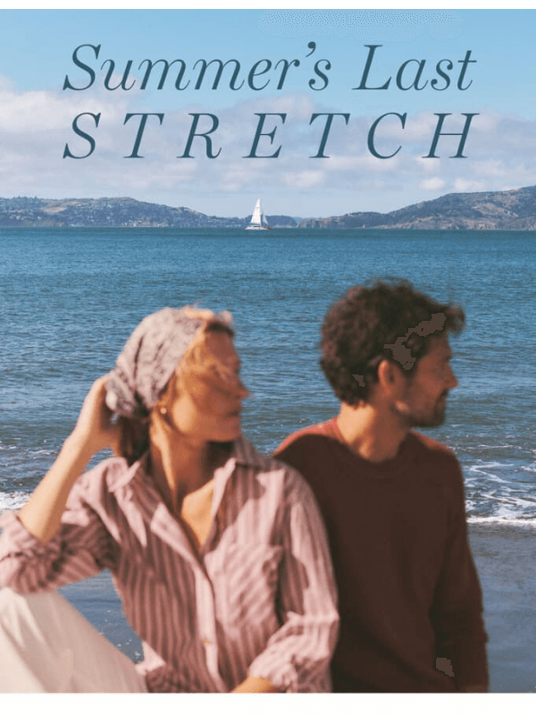 Newsletter preview: Wait — New Arrivals Are Here
