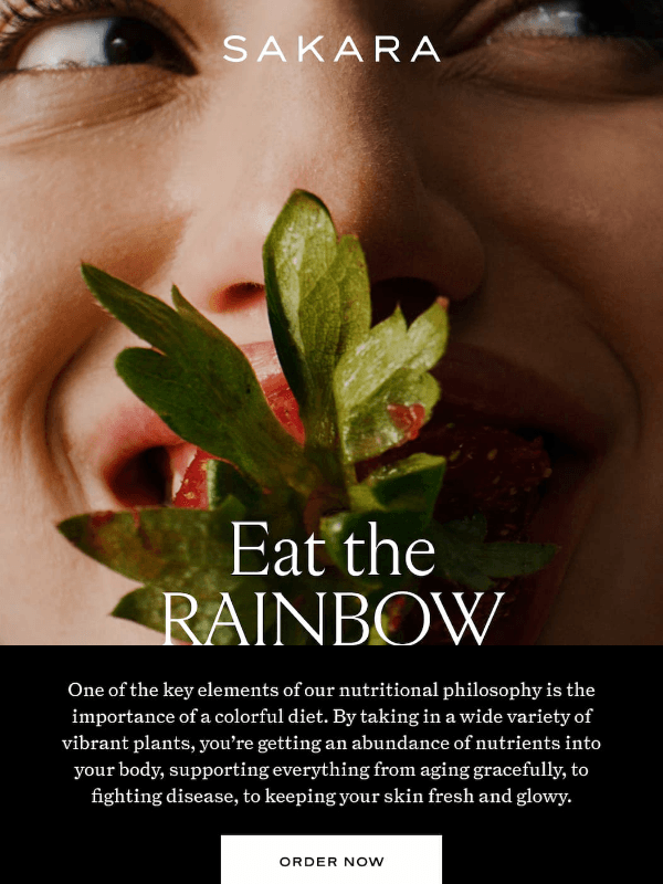 Newsletter preview: Follow the Rainbow