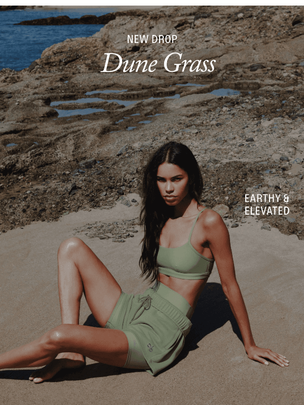 Newsletter preview: New Drop: Dune Grass