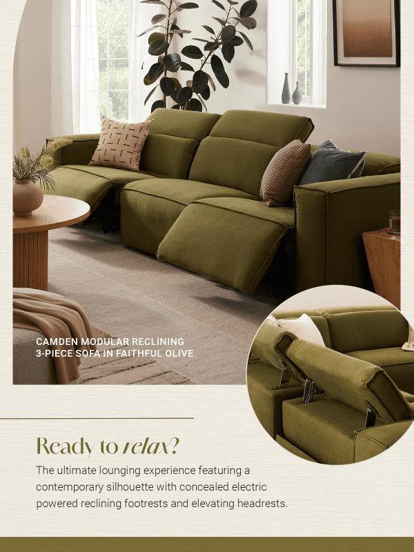Newsletter preview: 🛋Meet: The Camden Collection