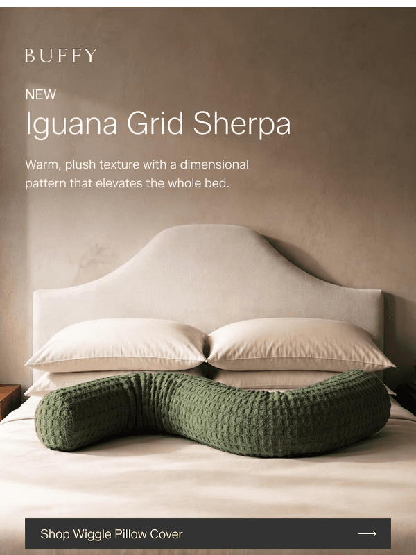 Newsletter preview: NEW | Iguana Wiggle Pillow Cover In Sherpa