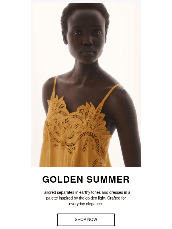 Newsletter preview: A golden summer color palette
