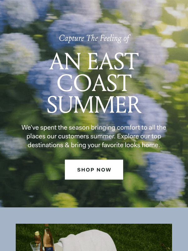 Newsletter preview: Ends soon: free Hydrangea Bath Towels
