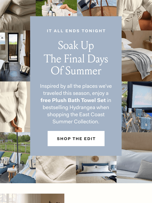 Newsletter preview: Final hours for a FREE Hydrangea gift