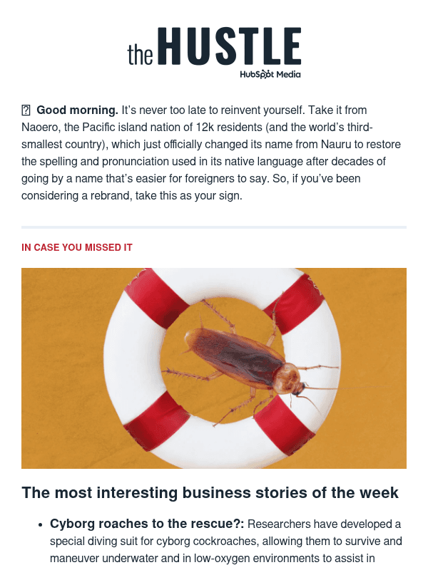 Newsletter preview: 🚨  Roaches to the rescue