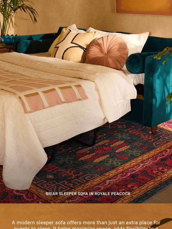 Newsletter preview: 🛋 3 Tips for Choosing a Sleeper Sofa
