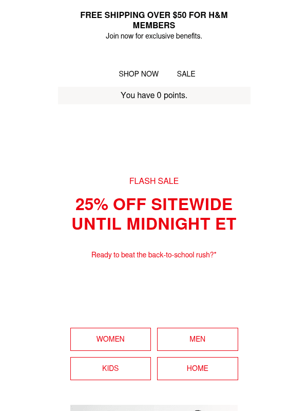 Newsletter preview: 25% off flash sale starts now