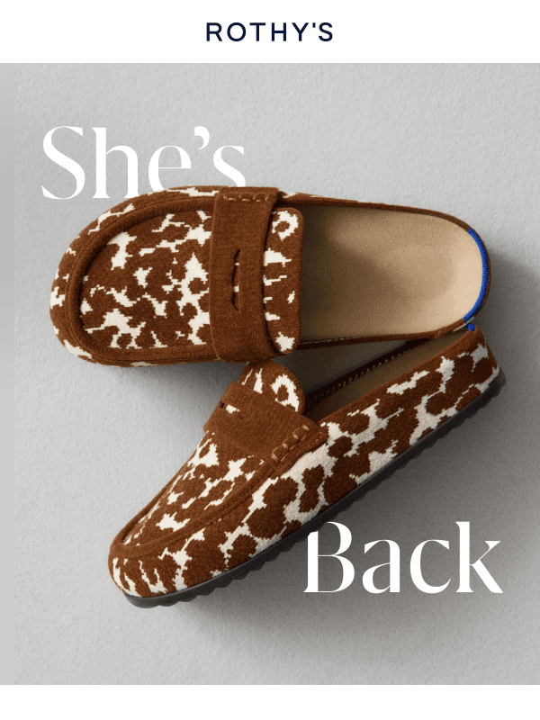 Newsletter preview: The Penny Clog is back.