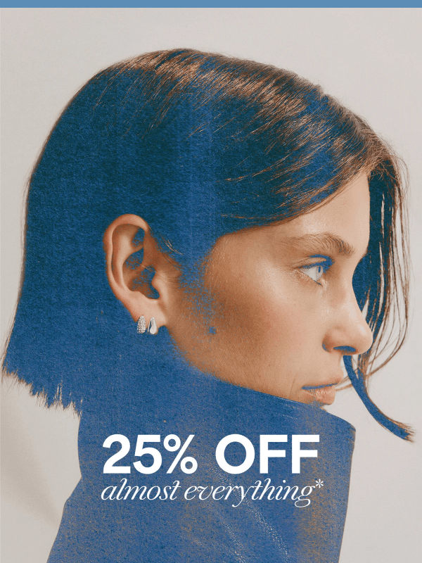 Newsletter preview: Final Hours: 25% Off Almost Everything