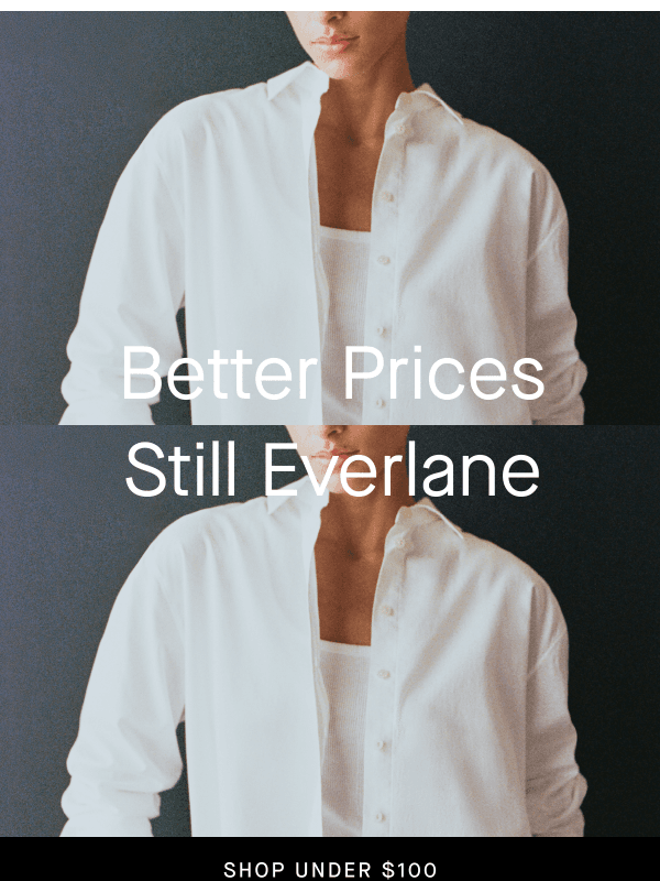 Newsletter preview: Best-Sellers Now Under $100