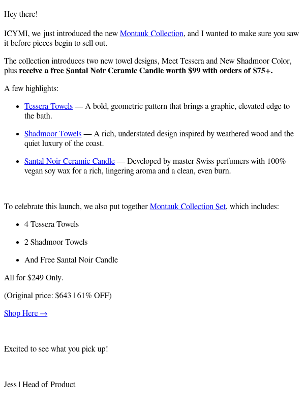 Newsletter preview: ICYMI: The NEW Montauk Collection