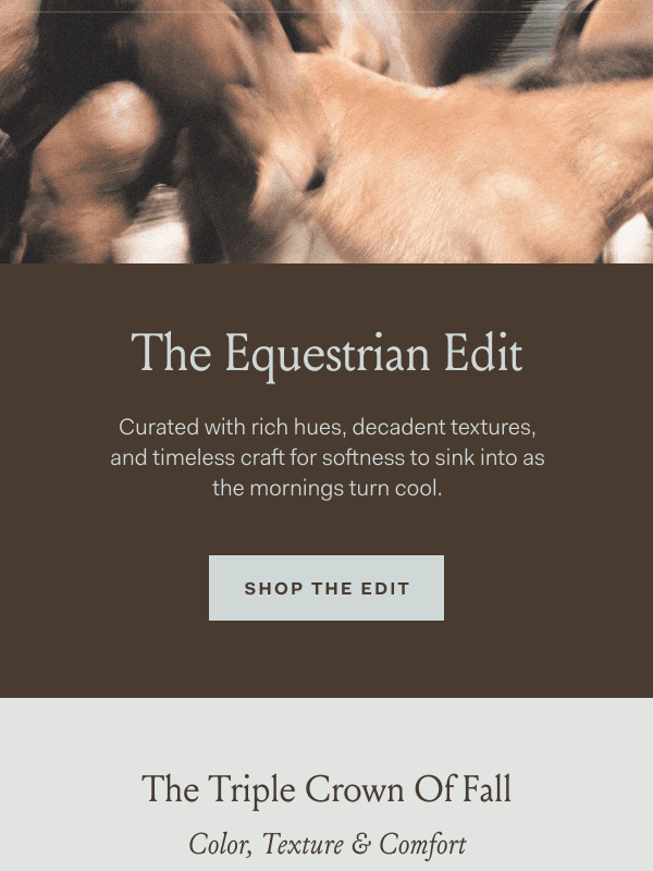 Newsletter preview: Ride into fall with the Equestrian Edit