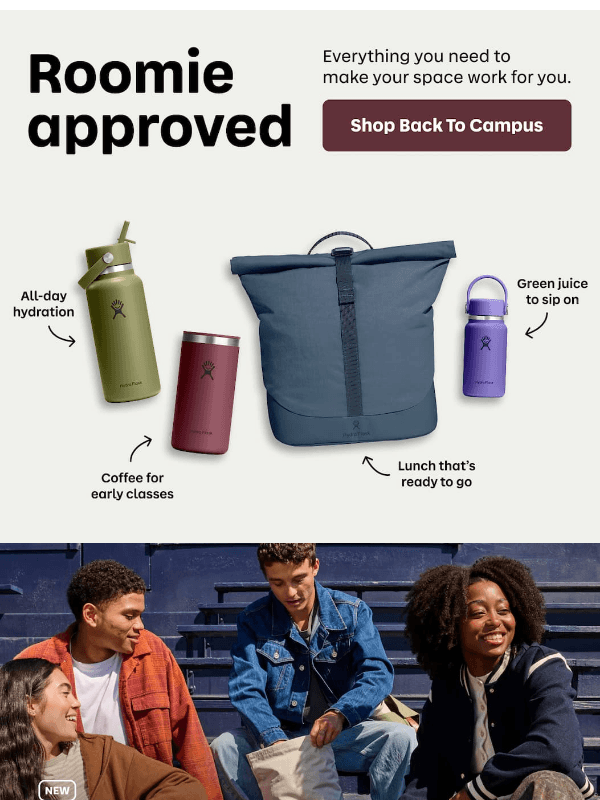 Newsletter preview: Roomie approved
