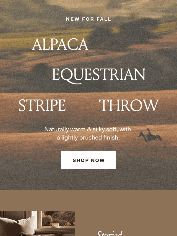 Newsletter preview: The arrival you've been waiting for