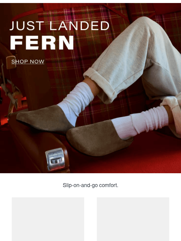 Newsletter preview: MEET FERN