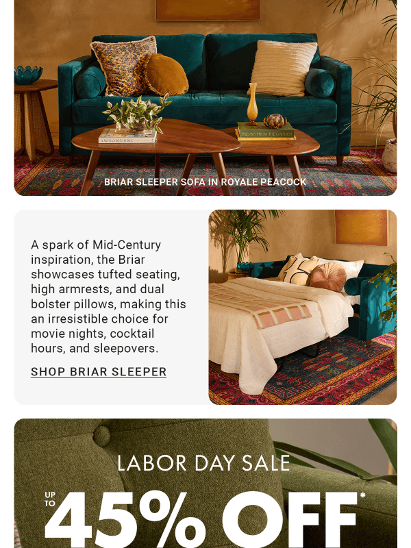 Newsletter preview: 🛋️ A sofa that serves 2 purposes