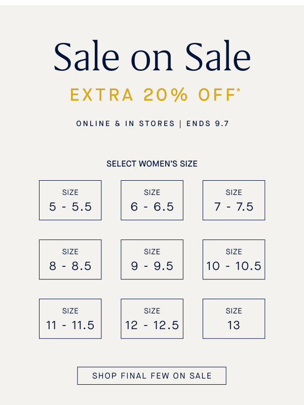 Newsletter preview: Extra 20% off sale by size.