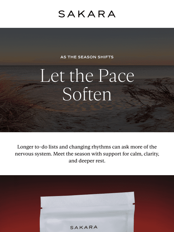 Newsletter preview: A Softer Way Into September